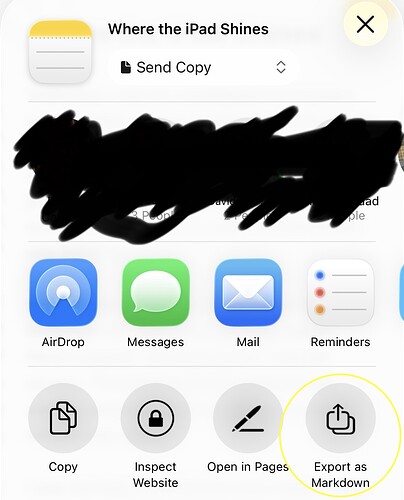 iOS Share Sheet