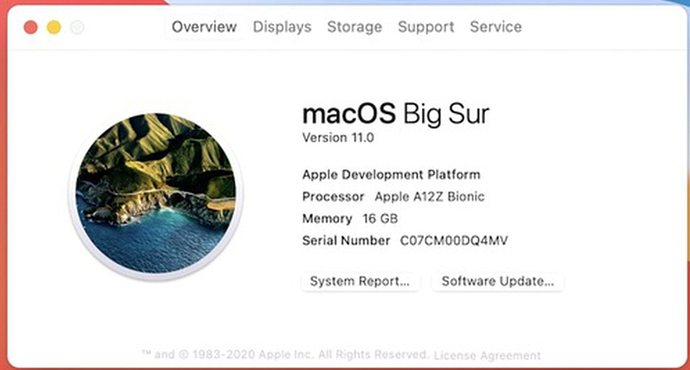 Image on 2020-06-22 03.05.06 PM