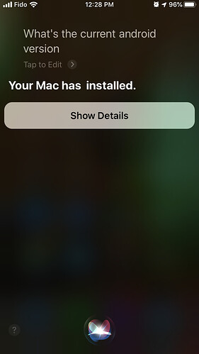 IMG_4245.PNG