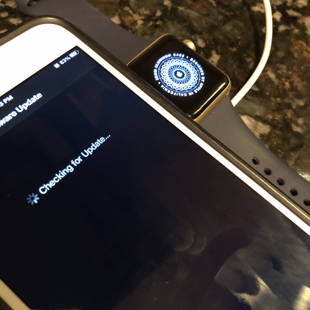 Apple Watch Series 1 won't pair (watchOS 6.1.3) Hardware MPU Talk