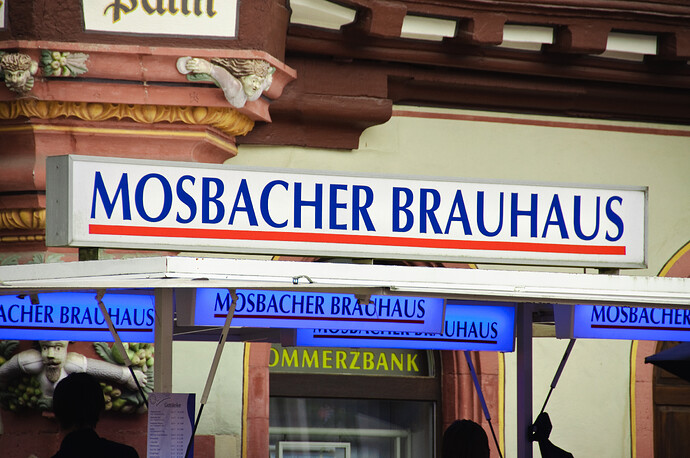 festival-in-mosbach-germany_3691739594_o